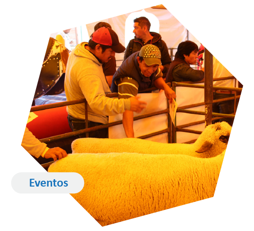 Eventos