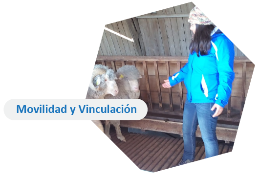 Movilidad y Vinculación