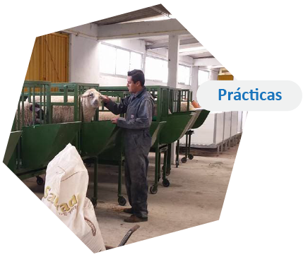 Prácticas